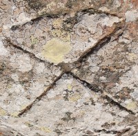 /album/carloforte-storia-e-archeologia/dscf7420-jpg/